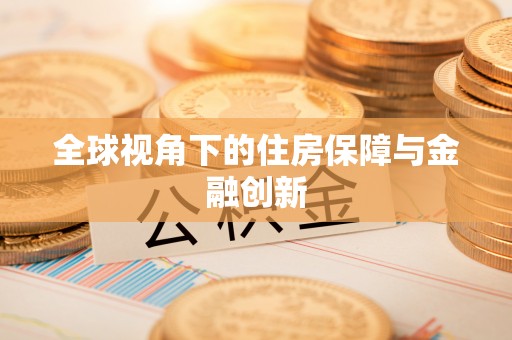 广饶全球视角下的住房保障与金融创新