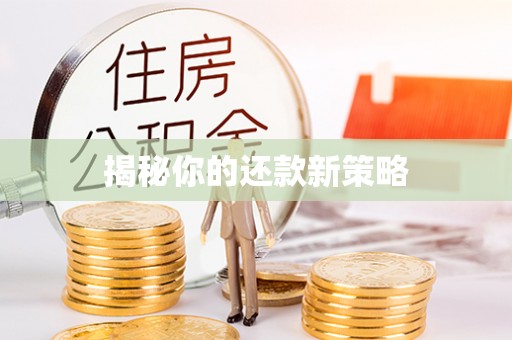 广饶揭秘你的还款新策略