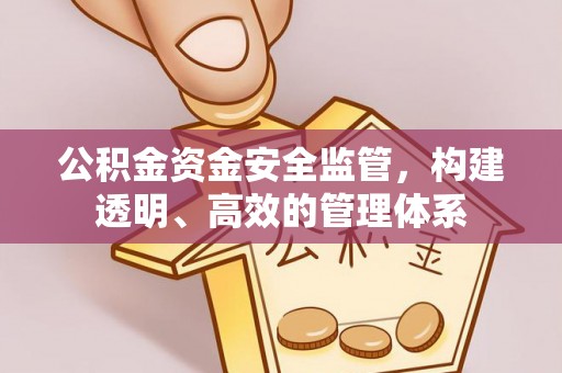 广饶公积金资金安全监管，构建透明、高效的管理体系