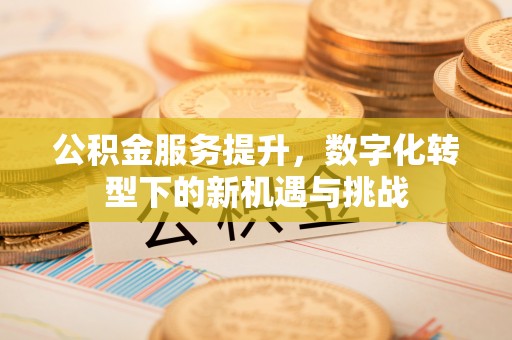广饶公积金服务提升，数字化转型下的新机遇与挑战