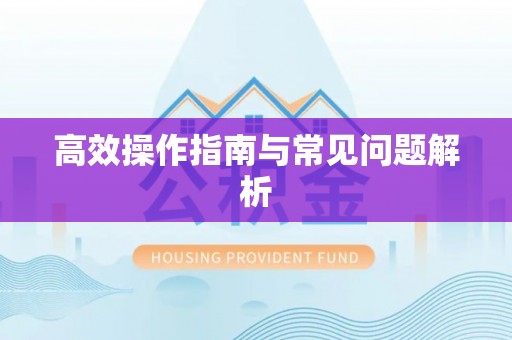 广饶高效操作指南与常见问题解析
