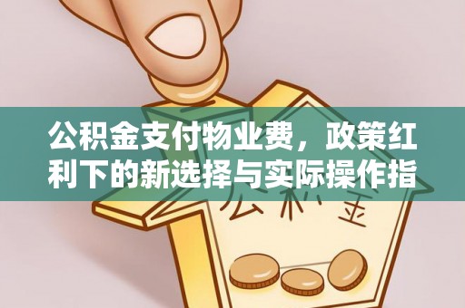 广饶公积金支付物业费，政策红利下的新选择与实际操作指南