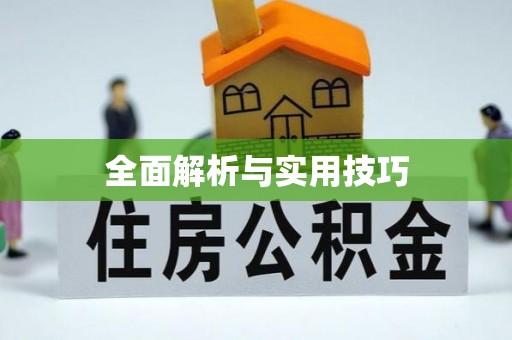 广饶全面解析与实用技巧