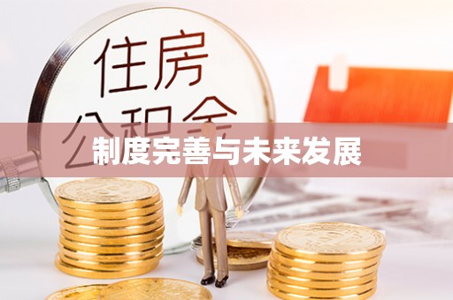 广饶制度完善与未来发展