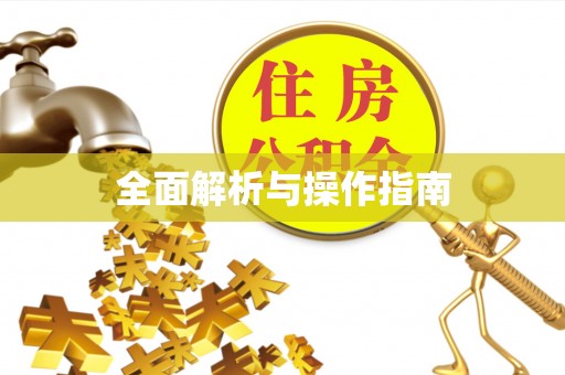 广饶全面解析与操作指南