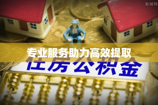 广饶专业服务助力高效提取