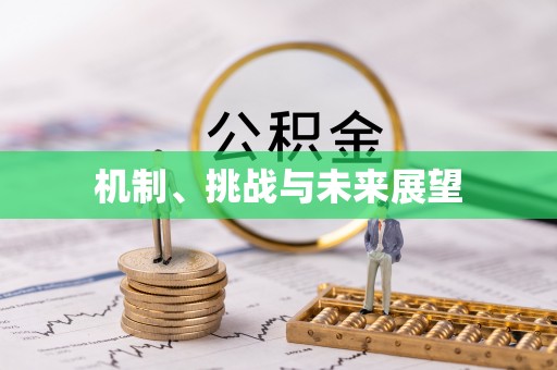 广饶机制、挑战与未来展望