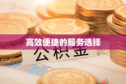 广饶高效便捷的服务选择
